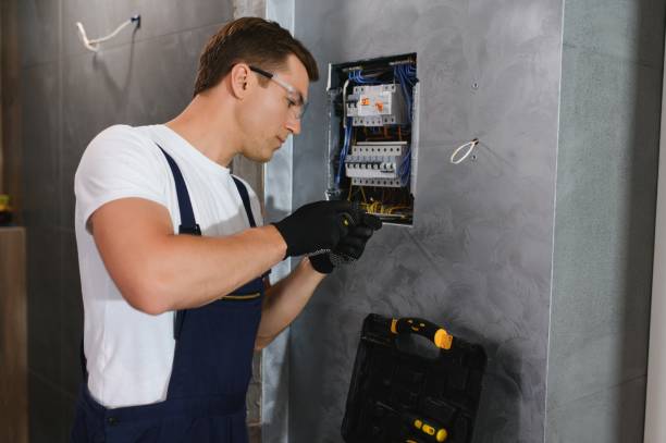 Best Electrical System Inspection  in Edgewater, CO