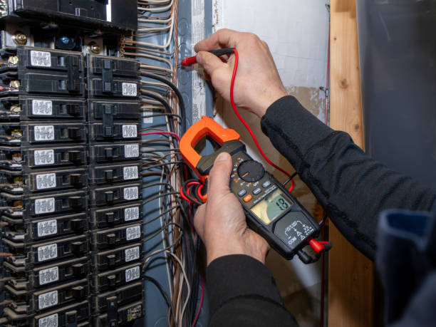 Best Ceiling Fan Installation Electrician  in Edgewater, CO